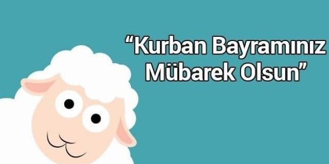 19-06/03/6-1559544191