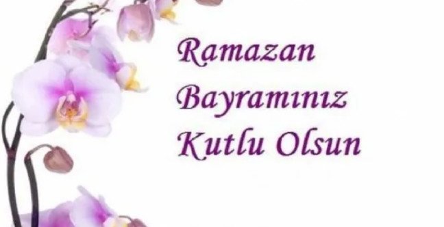 19-06/03/7-1559544198