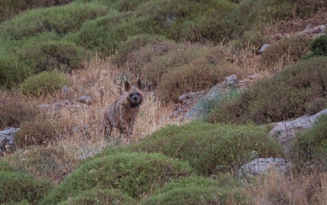 19-06/04/1-1559662634