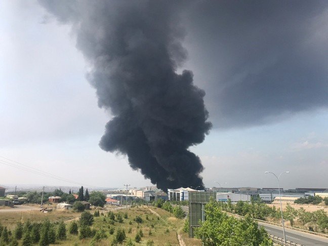 19-06/06/20190606_2_36773350_45094641