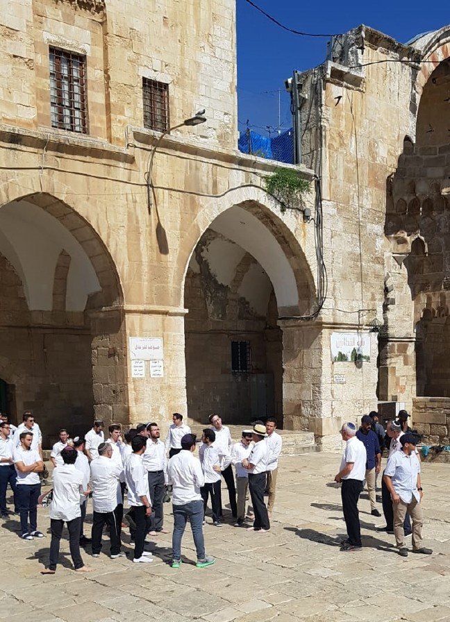 19-06/11/20190611_2_36827140_45197037