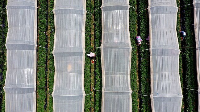 19-06/11/resimid_12361570