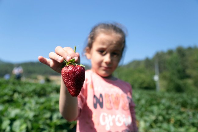 19-06/11/resimid_12363601