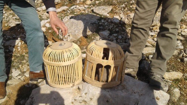 19-06/12/aw726379_02