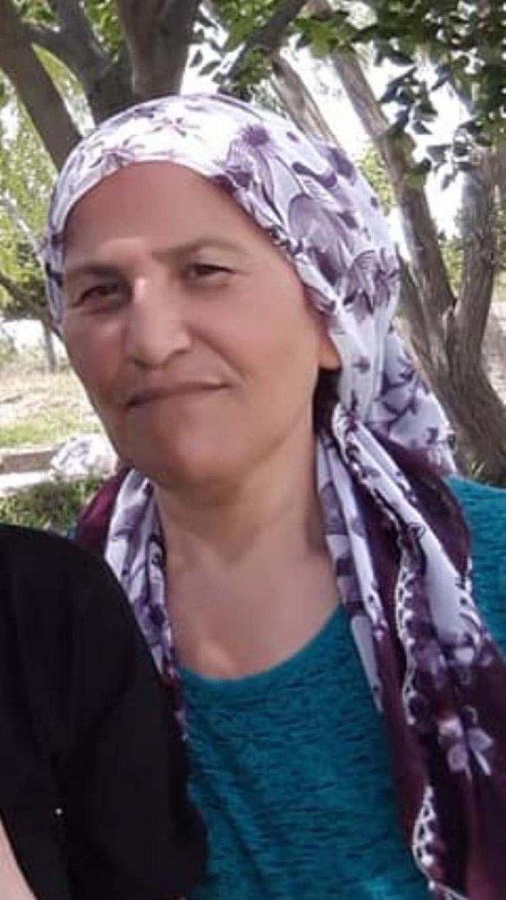 19-06/13/13d9c78ad79dc573a7d70922913d45a3-1560419845