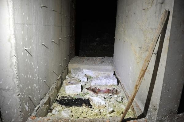 19-06/13/bb545957729209dc91919fb19a33cc01-1560408320