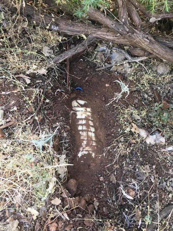 19-06/13/dc10b0a7b8040fdcb0c48a608ce814a1-1560408111