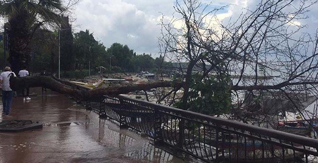 19-06/15/1-1560606932