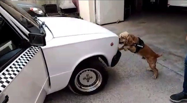 19-06/15/resimid_123990891_12399089