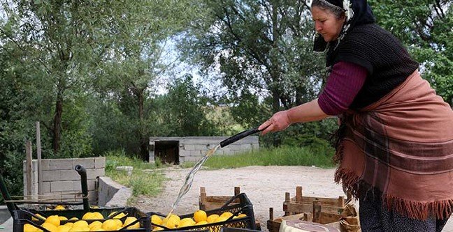 19-06/16/ana-manset-1560688674