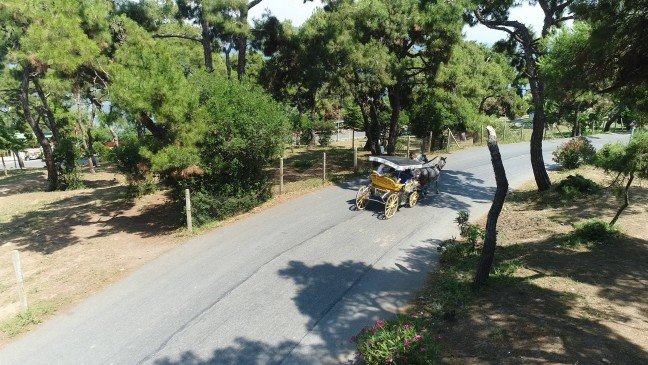 19-06/17/resimid_12406833