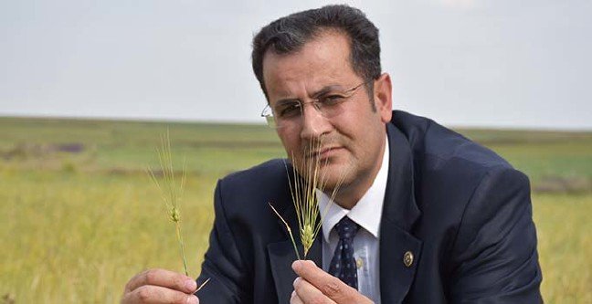 19-07/01/ana-manset-1561971215