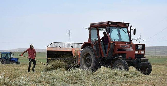 19-07/01/ana-manset-1561971241