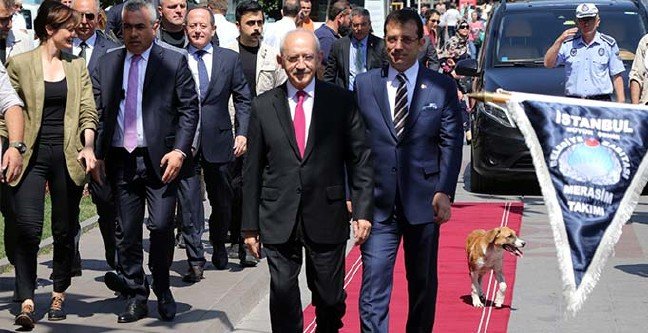 19-07/05/ana-manset-1562325723