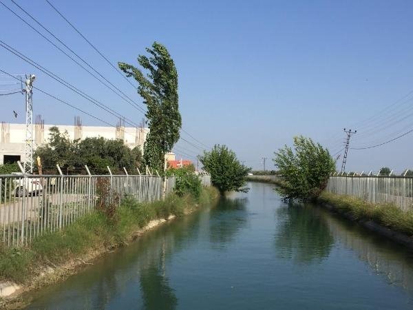 19-07/11/eb699036c1ca95596d47aac383259db2-1562828161