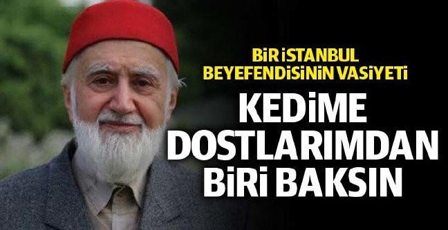 19-07/13/akar-1562972168