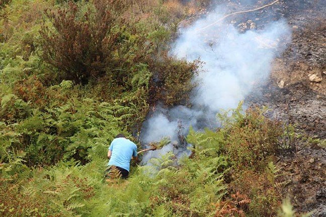 19-07/13/kartalda-orman-yangini-2-_9840_dhaphoto8