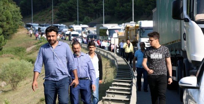 19-07/15/928cd433090eee403dc5034f7d0fee36-1563205669