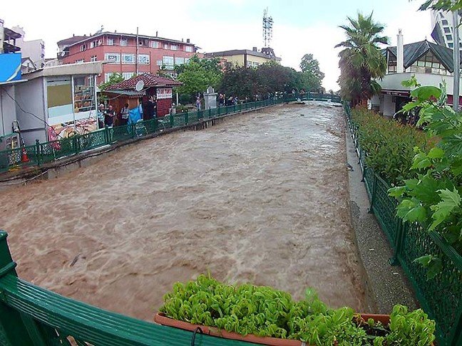 19-07/18/20190718_2_37400575_46178086