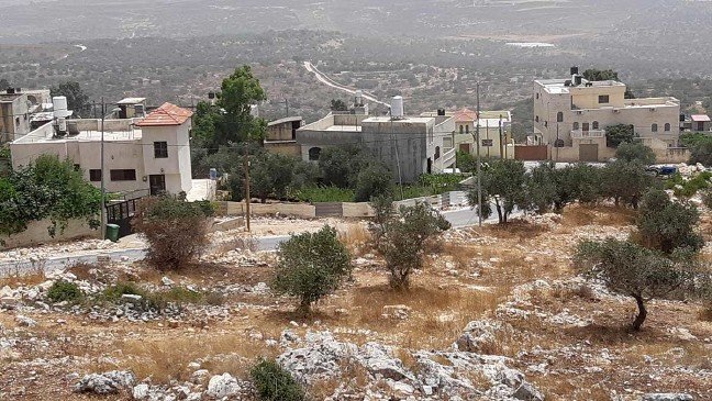 19-07/21/20190717_abd_a_rahman_a_shteiwi2