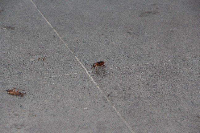 19-07/23/4466f83e-40a7-4603-81eb-7a472a58e8e4-1563867389