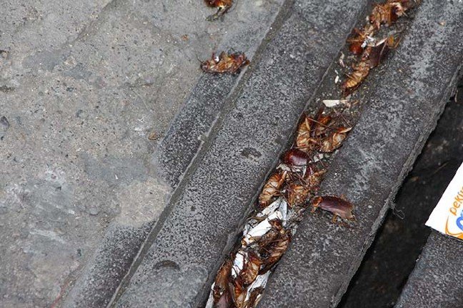 19-07/23/aw760951_05