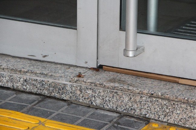 19-07/23/b572bc5b-d257-4ba7-b971-7845658e792a-1563867400