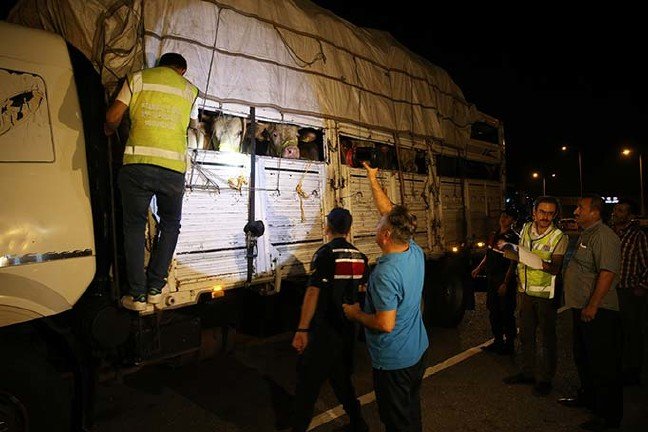 19-07/27/20190726_2_37522826_46377523