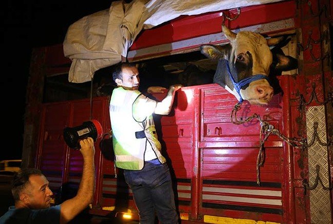 19-07/27/20190726_2_37522826_46377526