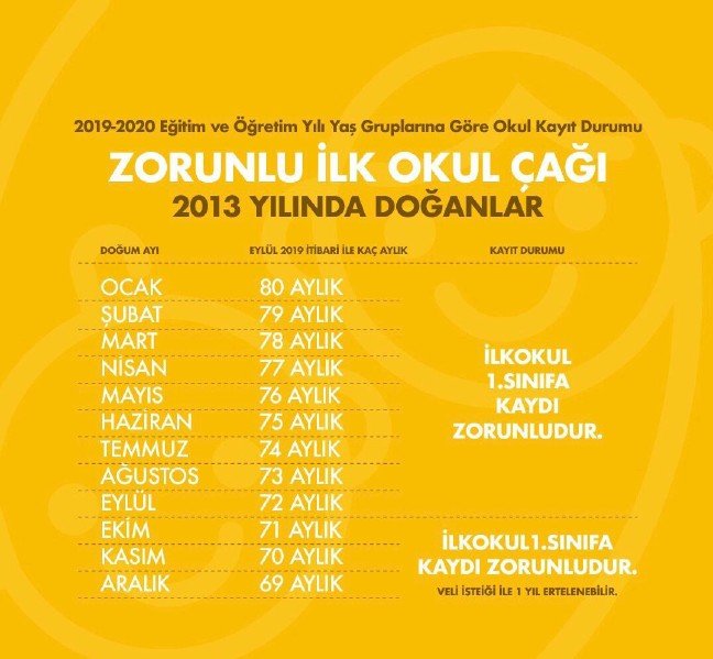 19-07/27/20190727_2_37524076_46379282