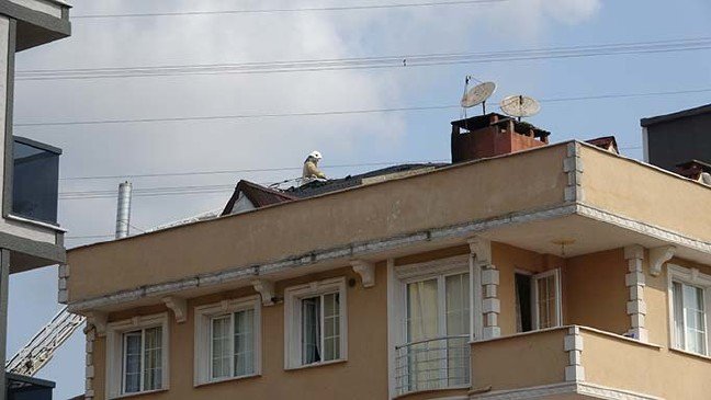 19-07/30/aw766737_05