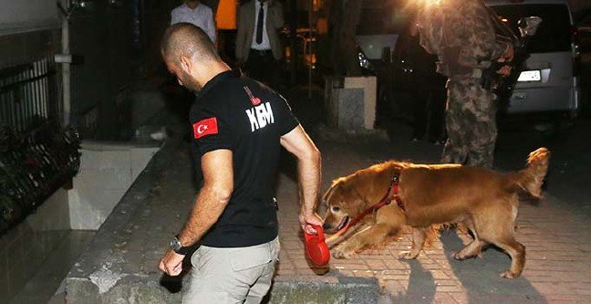 19-07/30/basliksiz-1-1564461762