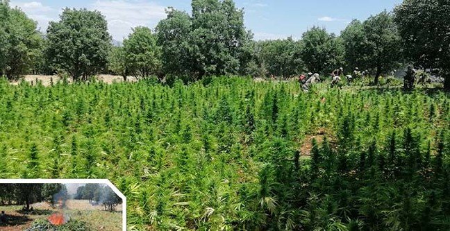 19-08/05/basliksiz-1-1564983963