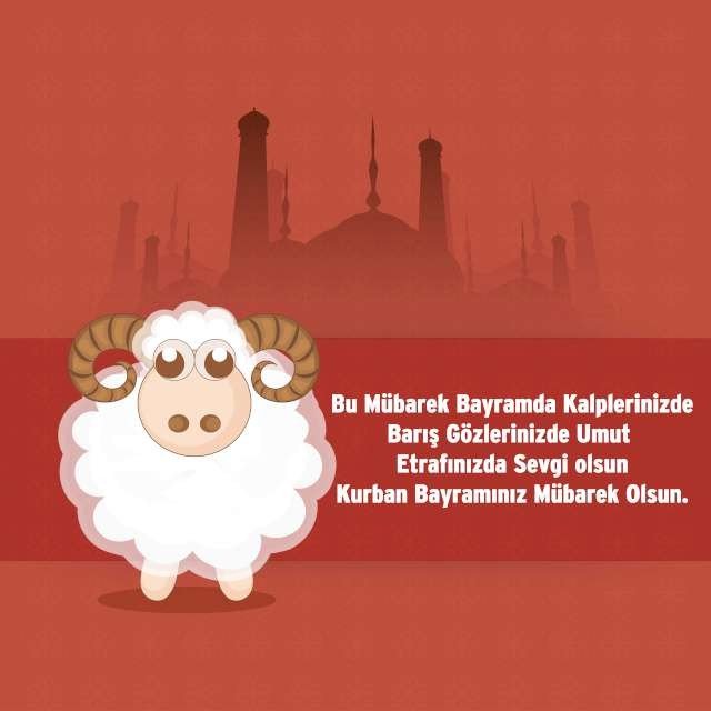 19-08/07/shutterstock_216709006