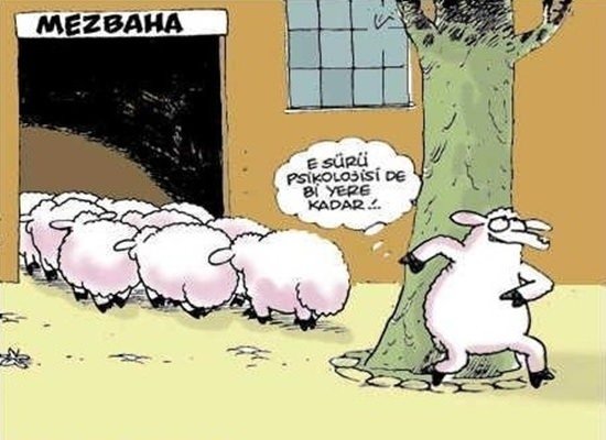 19-08/08/kurban-bayrami-karikaturleri-11