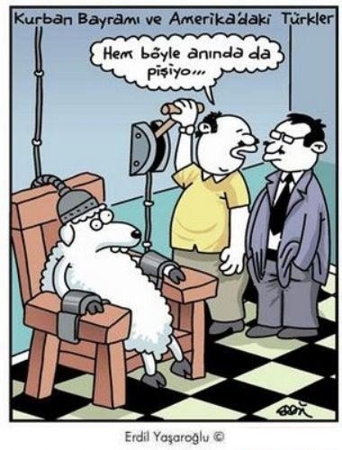 19-08/08/kurban-bayrami-karikaturleri-6