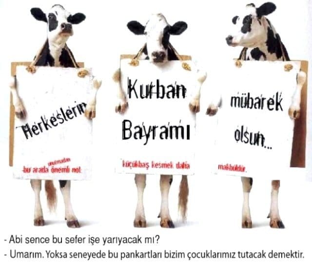 19-08/09/kurban-bayrami-3