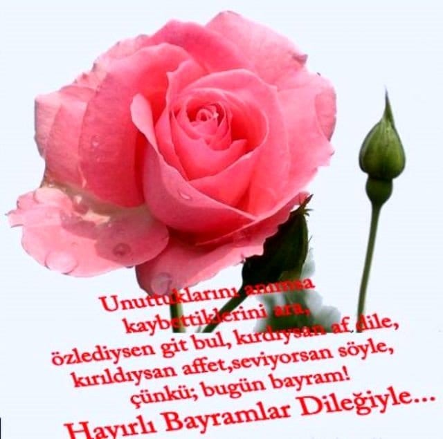 19-08/09/kurban-bayrami-4