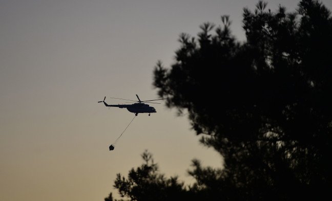 19-08/11/20190811_2_37725756_46712921