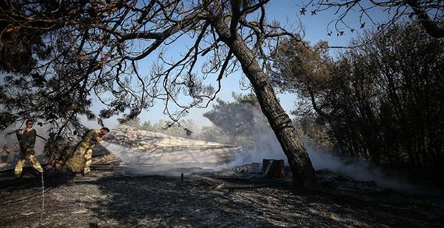 19-08/11/basliksiz-1-1565505900