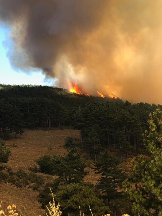 19-08/12/resimid_12808858