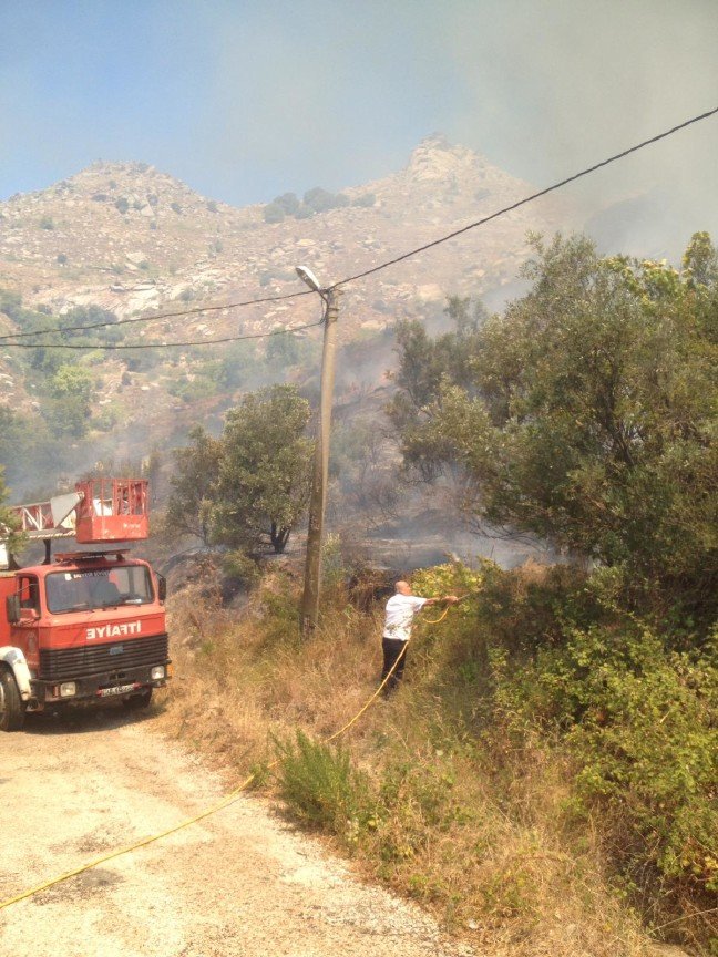 19-08/12/resimid_12808896