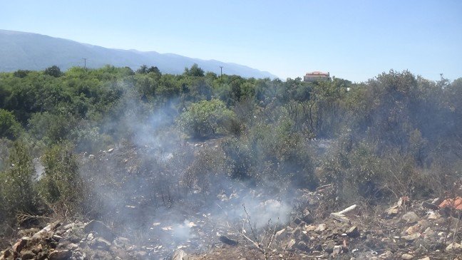 19-08/13/resimid_12816545