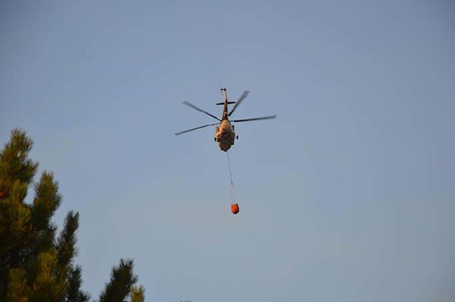 19-08/14/eskisehirde-orman-yangini-2-_3516_dhaphoto7