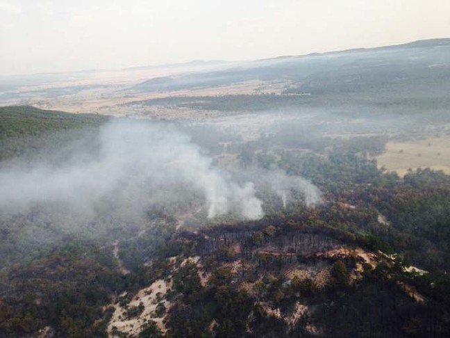 19-08/14/eskisehirdeki-orman-yangini-15-saatte-kontrol-altina-alindi_3967_dhaphoto1