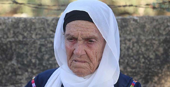 19-08/17/kalip-1566027885