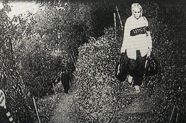 19-08/20/20190820_2_37825331_46915178-1566291709