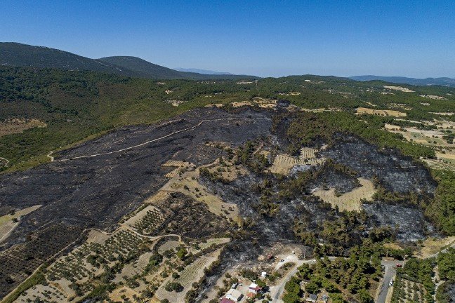 19-08/20/yangin-1566281639