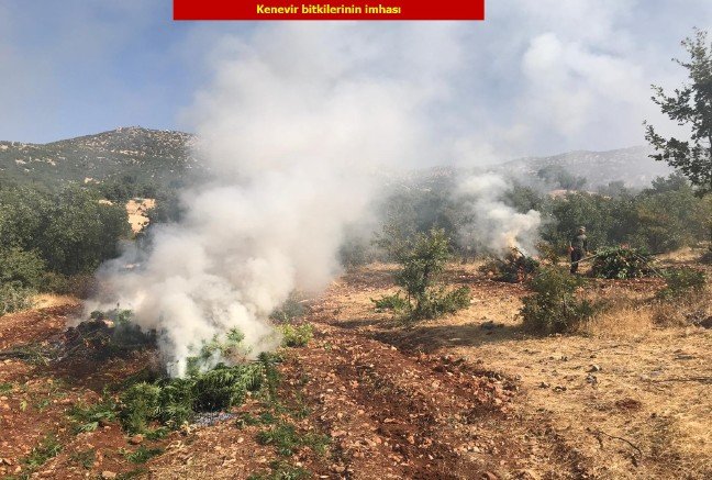 19-08/21/resimid_12865984