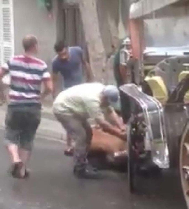 19-08/22/buyakadada-bir-at-daha-bayginlik-gecirdi-_7766_dhaphoto3